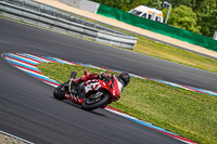 Slovakia-Ring;event-digital-images;motorbikes;no-limits;peter-wileman-photography;trackday;trackday-digital-images